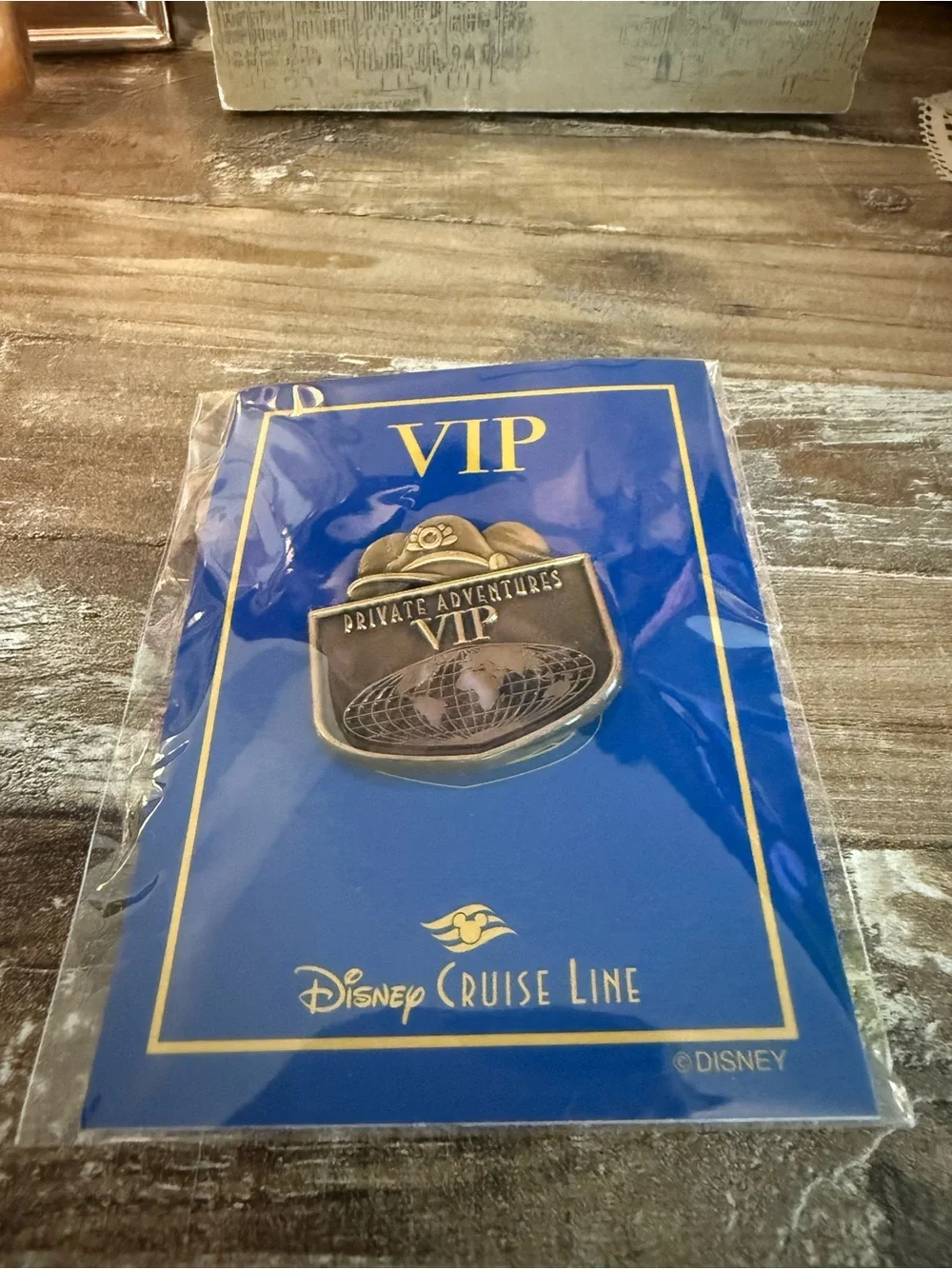 Disney VIP Private Adventures Gold Pin